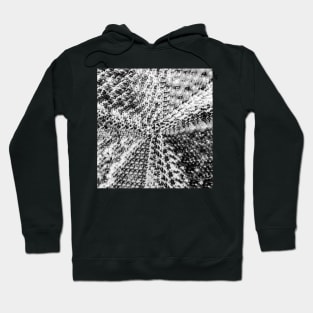 Griswold Christmas Tree - Black And White Hoodie